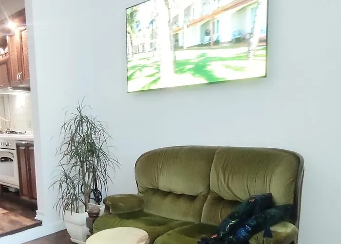 возле дерибасовской 公寓 敖德萨